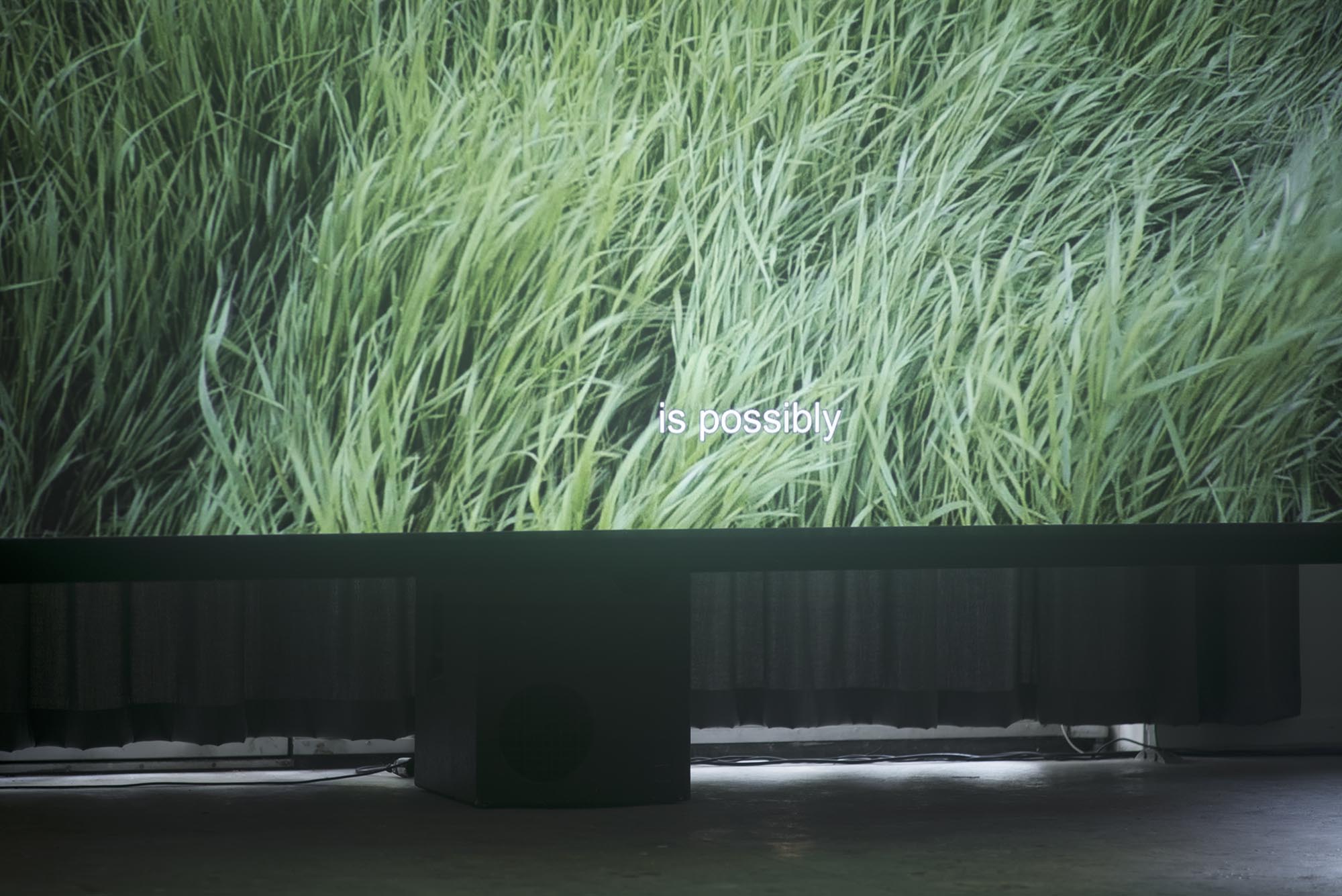 Devrim Lingnau, Crimes of the Future – Fondation Tschuess