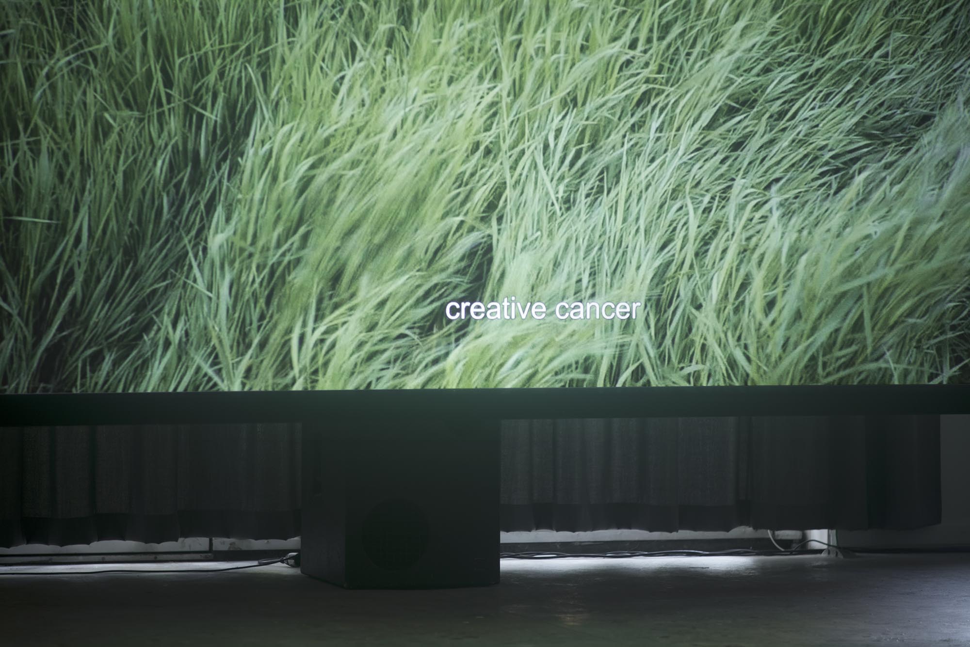Devrim Lingnau, Crimes of the Future – Fondation Tschuess