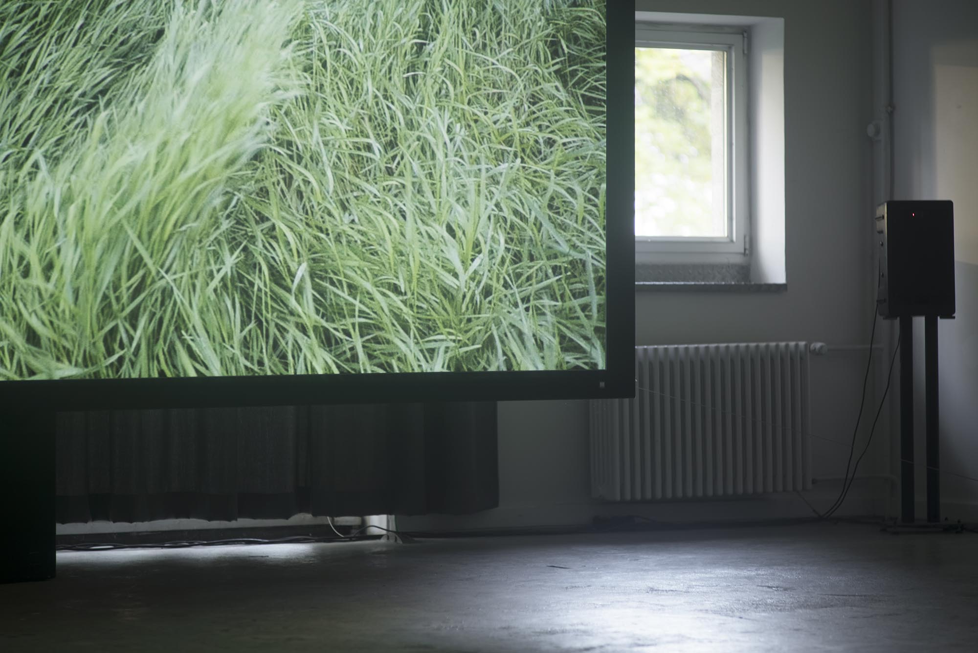 Devrim Lingnau, Crimes of the Future – Fondation Tschuess