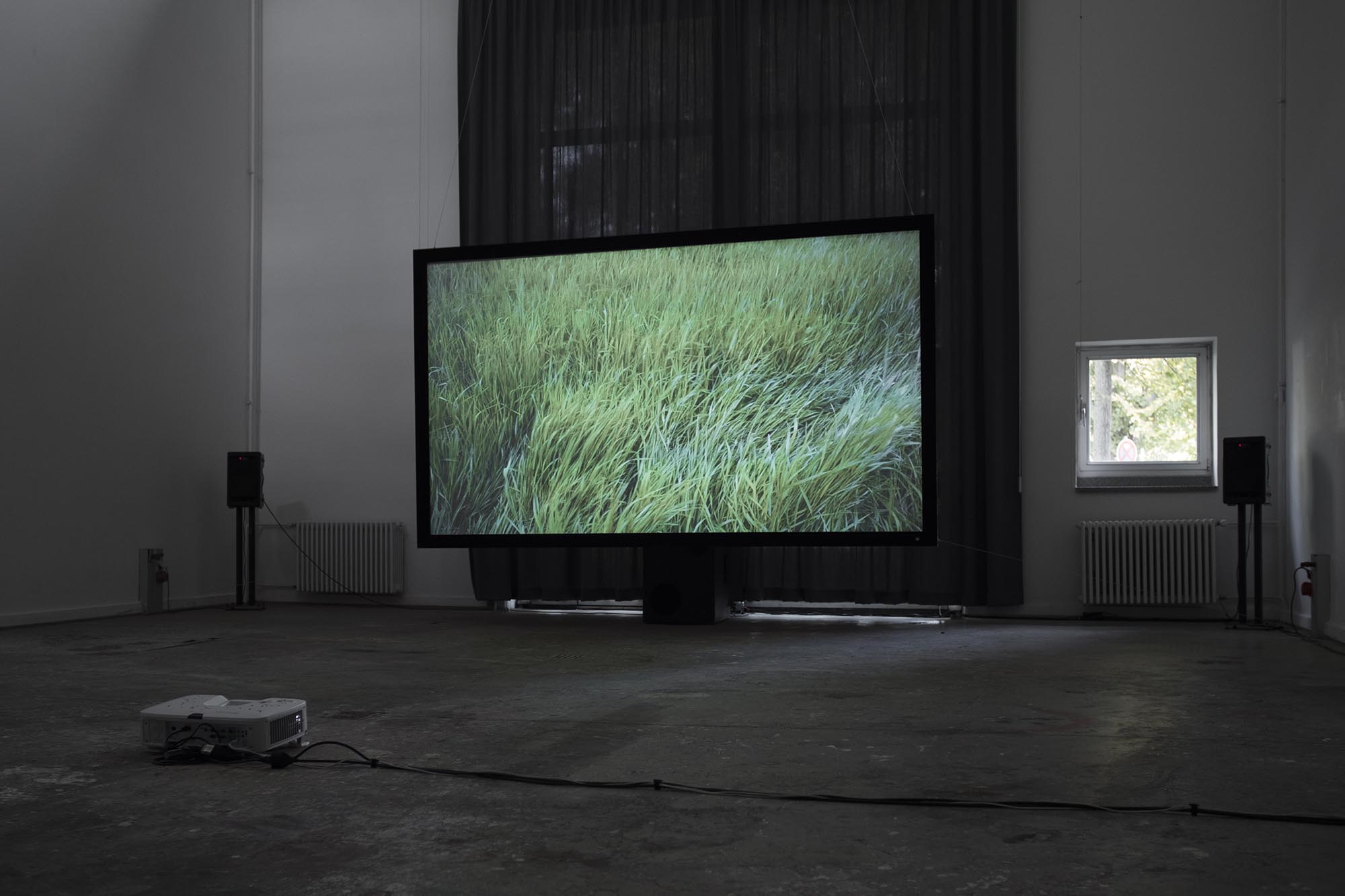 Devrim Lingnau, Crimes of the Future – Fondation Tschuess
