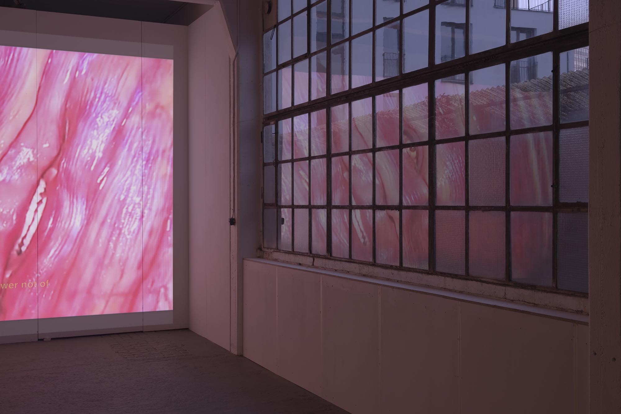 Helen Weber, Ein idealer Hauch – Fondation Tschuess