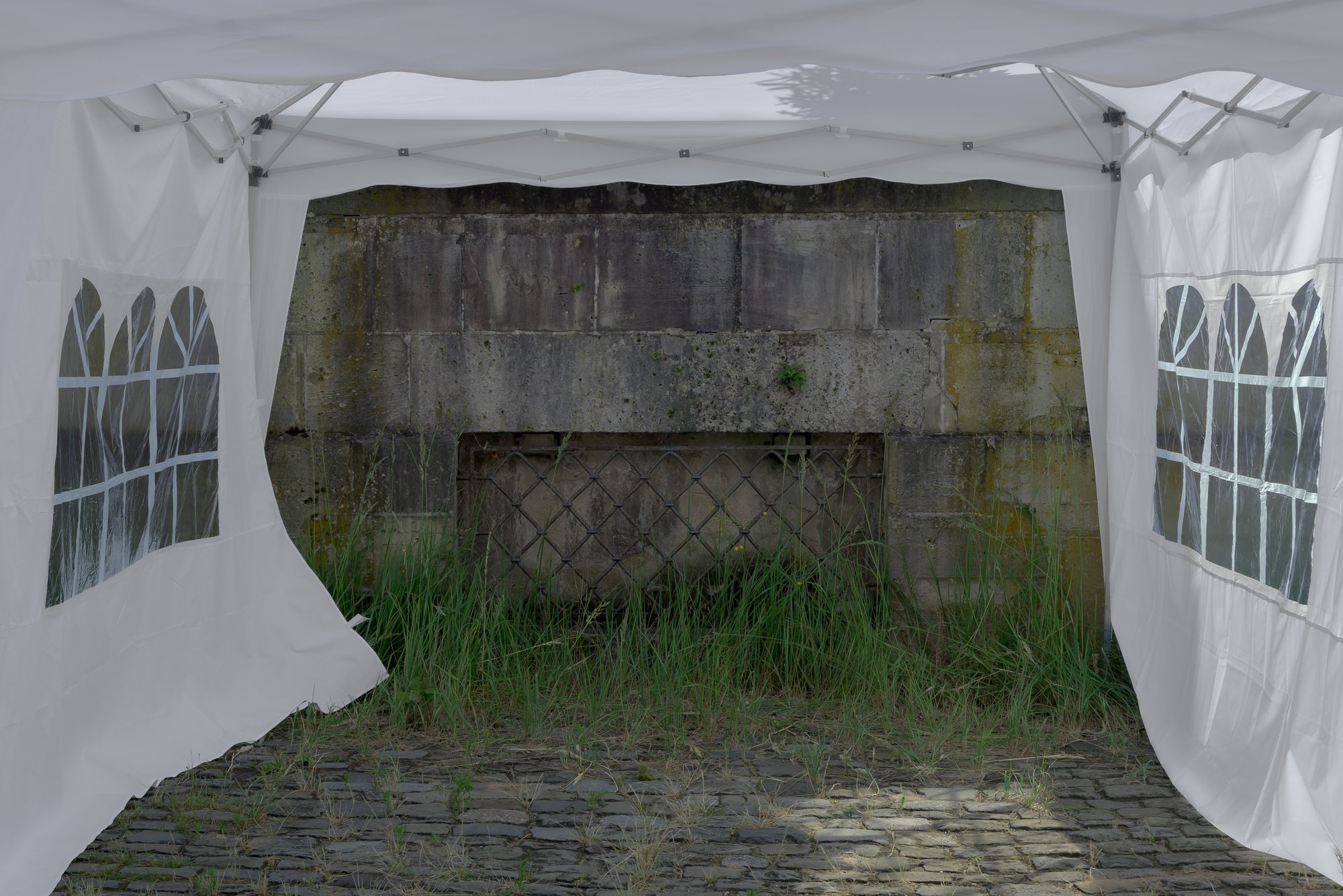 Weeds – Fondation Tschuess