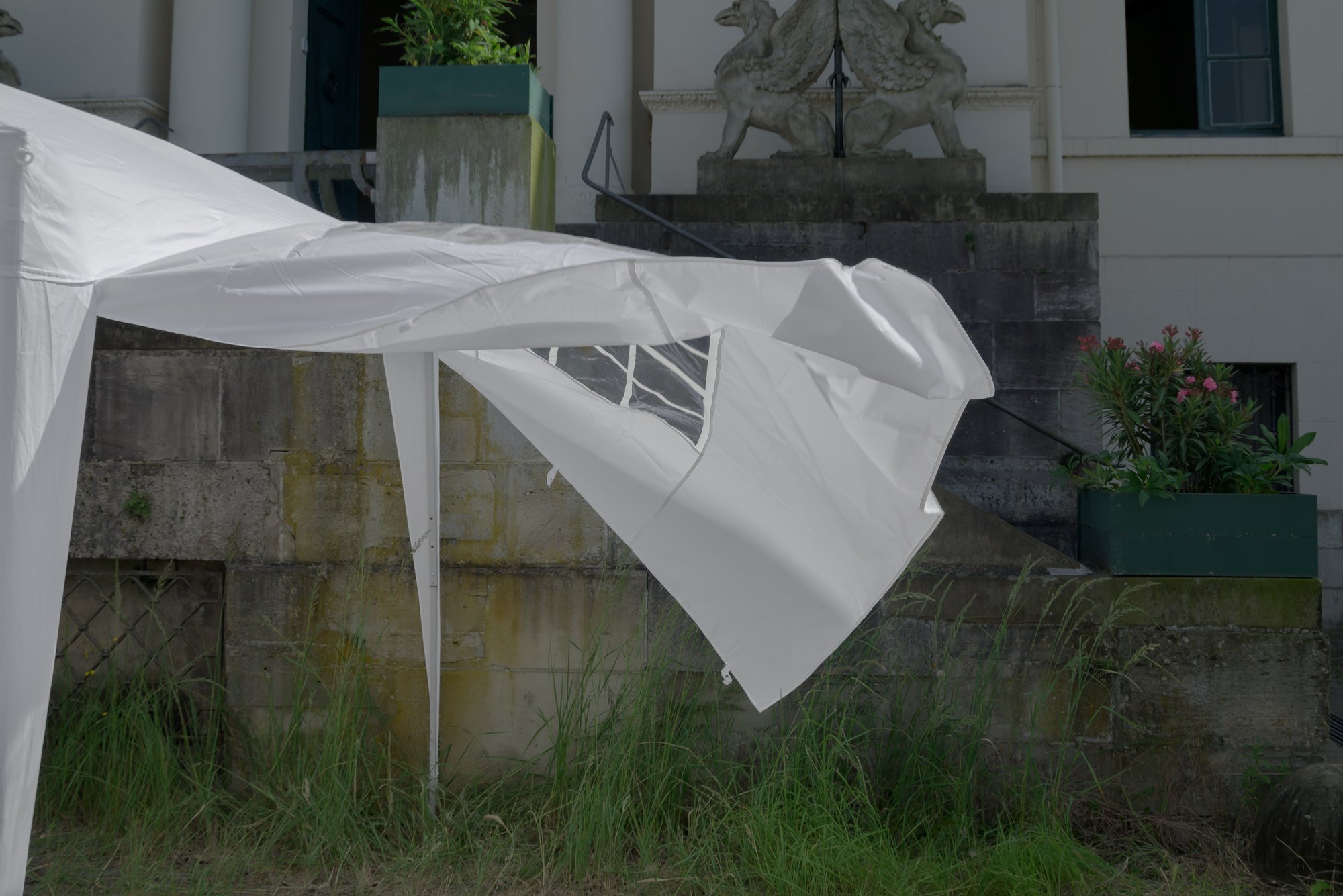 Weeds – Fondation Tschuess