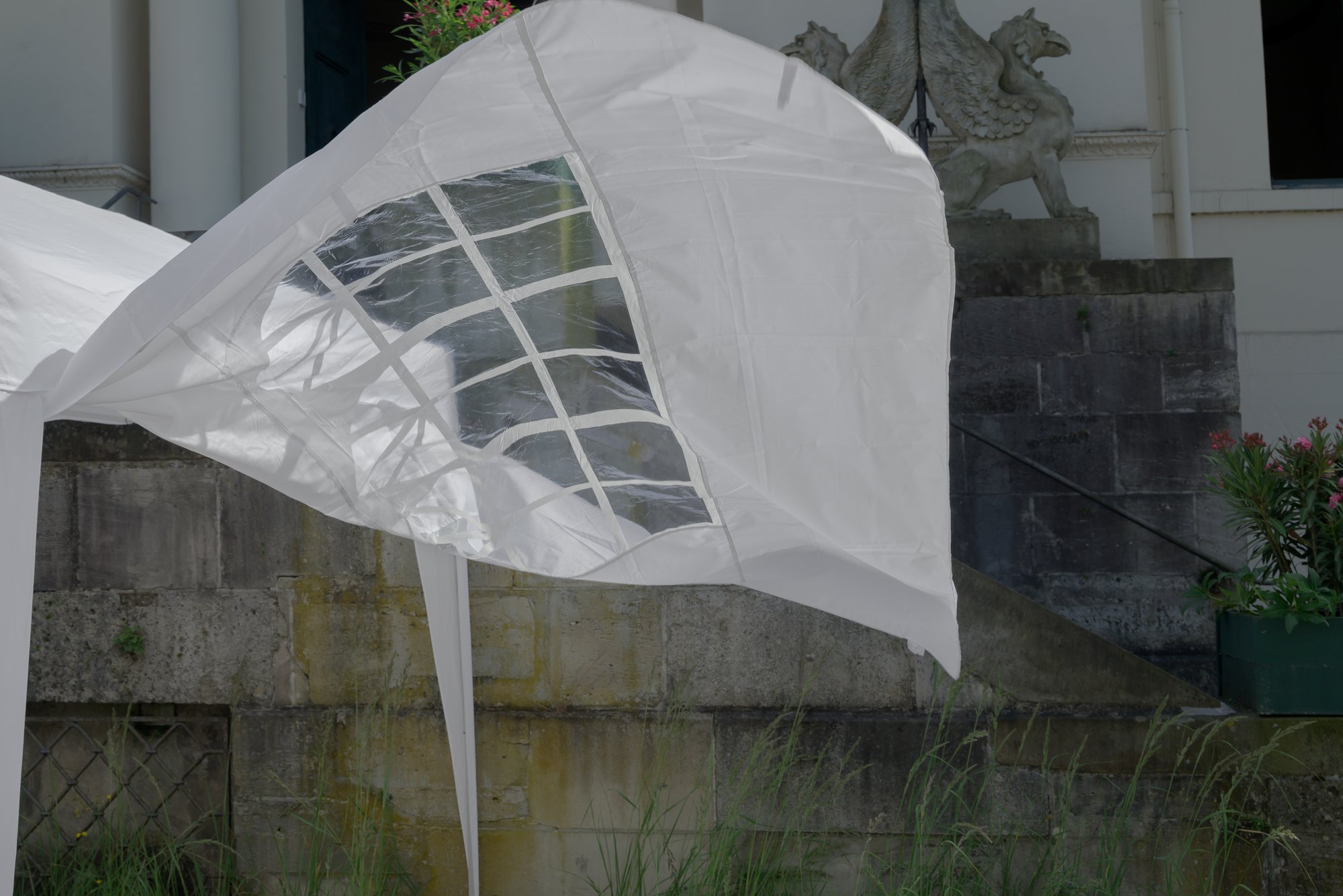 Weeds – Fondation Tschuess