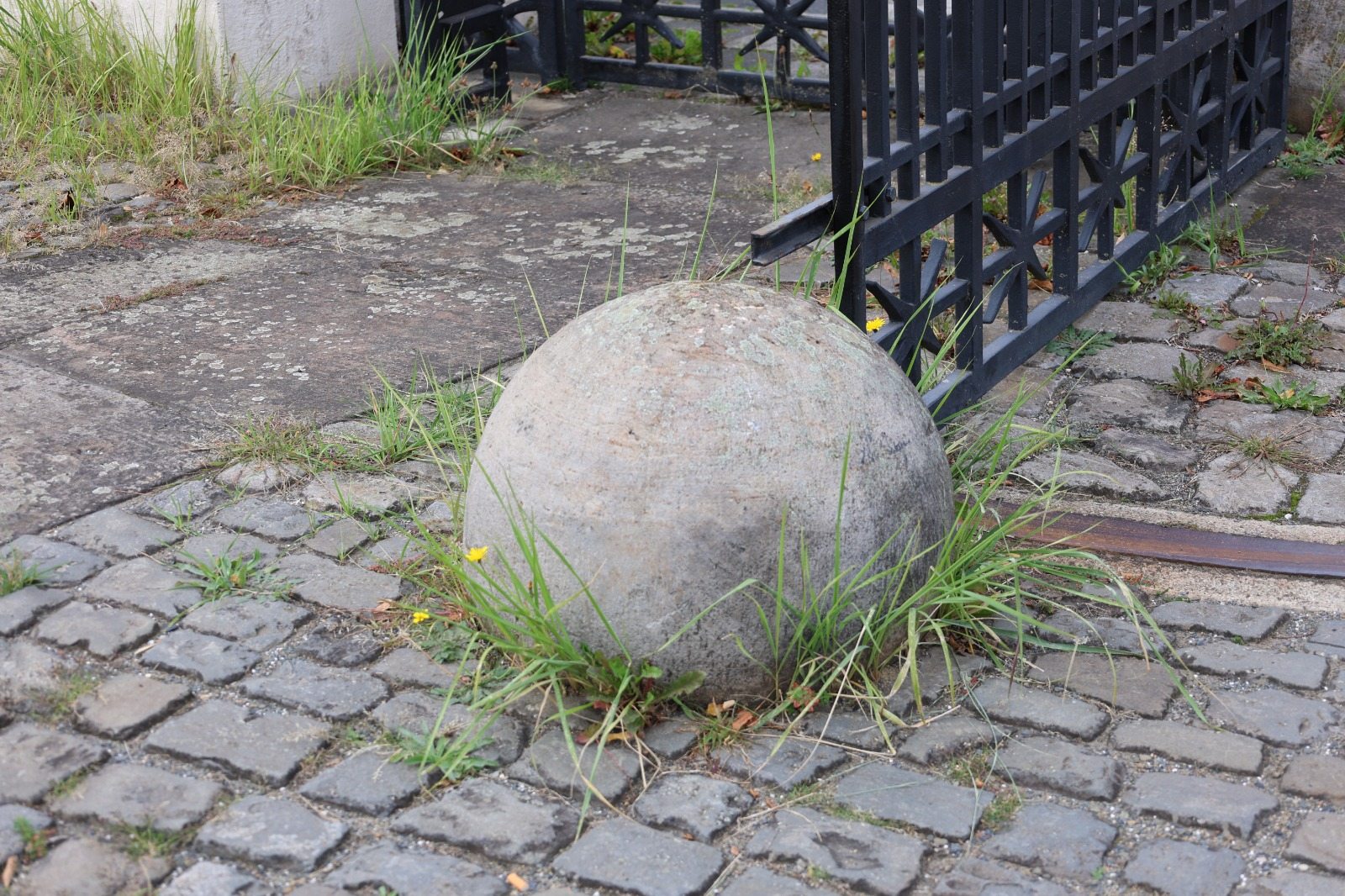 Weeds – Fondation Tschuess
