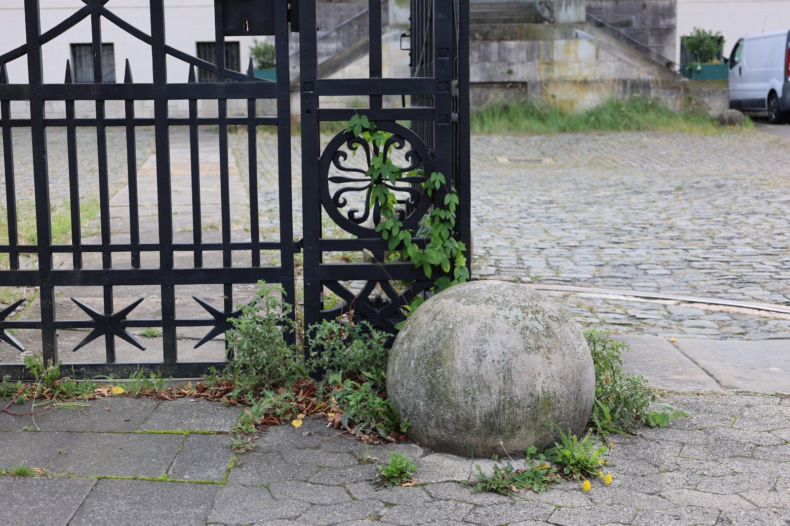 Weeds – Fondation Tschuess